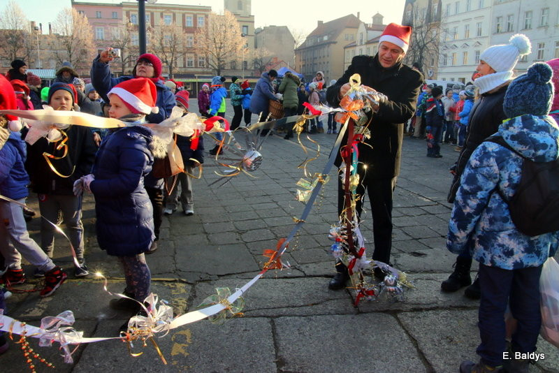 Ekologiczna choinka na Nowym Rynku (zdjęcia)