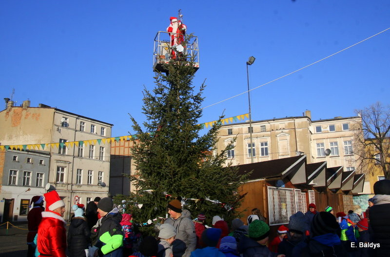 Ekologiczna choinka na Nowym Rynku (zdjęcia)