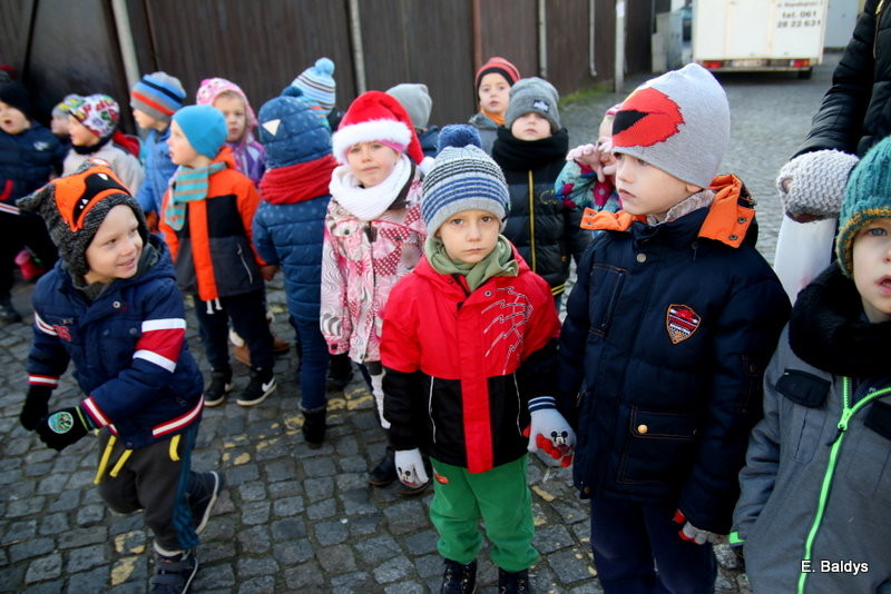Ekologiczna choinka na Nowym Rynku (zdjęcia)