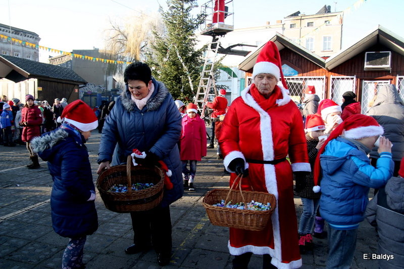 Ekologiczna choinka na Nowym Rynku (zdjęcia)