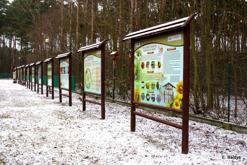 Święto Integracji w SP 13. Otwarcie ścieżki dla wszystkich (zdjęcia)