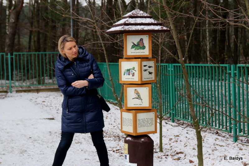 Święto Integracji w SP 13. Otwarcie ścieżki dla wszystkich (zdjęcia)