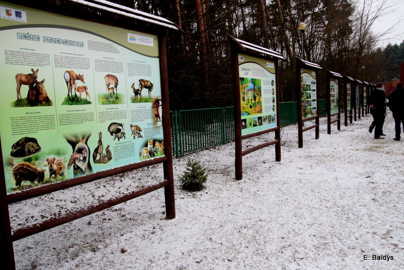 Święto Integracji w SP 13. Otwarcie ścieżki dla wszystkich (zdjęcia)