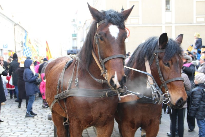 Trzej Królowie po raz trzeci (dużo zdjęć)