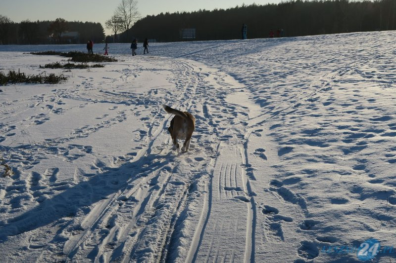 Zimowa zabawa nad zbiornikiem (zdjęcia)