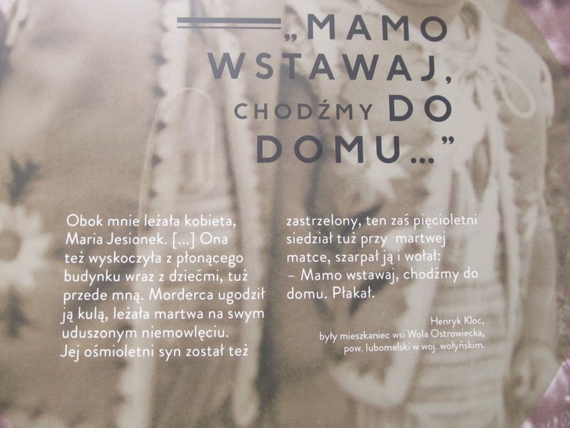 Wołają z grobów, których nie ma (zdjęcia)