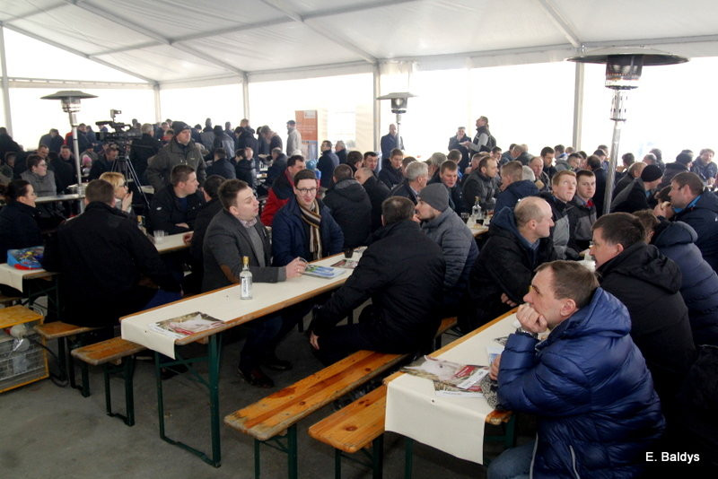 Wzorcowa świniarnia w Nowej Wsi (zdjęcia)