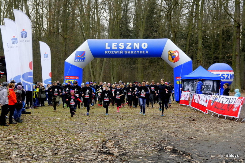 Biegli w lesie, wilczym tropem (dużo zdjęć)
