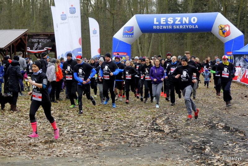 Biegli w lesie, wilczym tropem (dużo zdjęć)