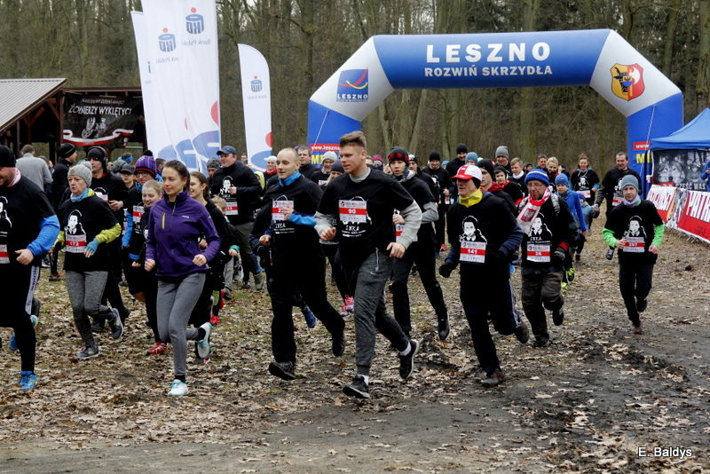 Biegli w lesie, wilczym tropem (dużo zdjęć)