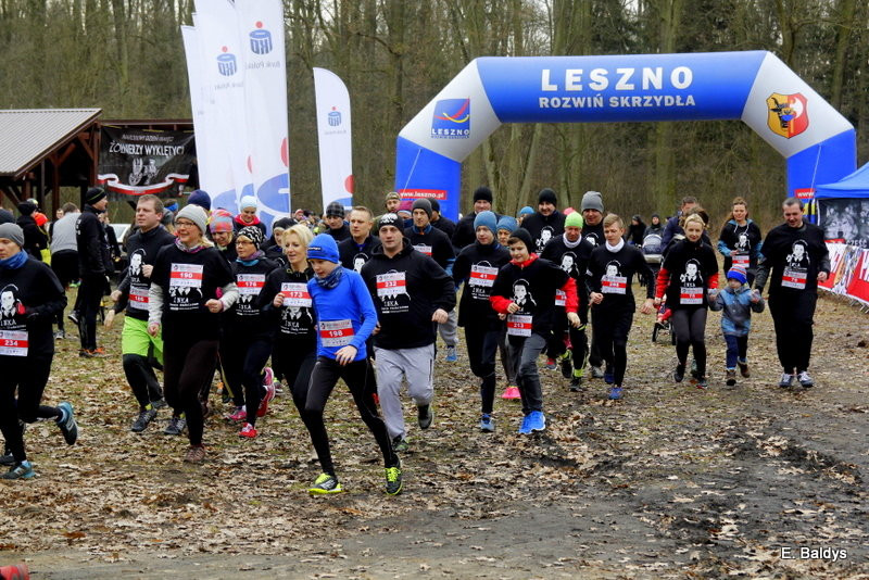 Biegli w lesie, wilczym tropem (dużo zdjęć)