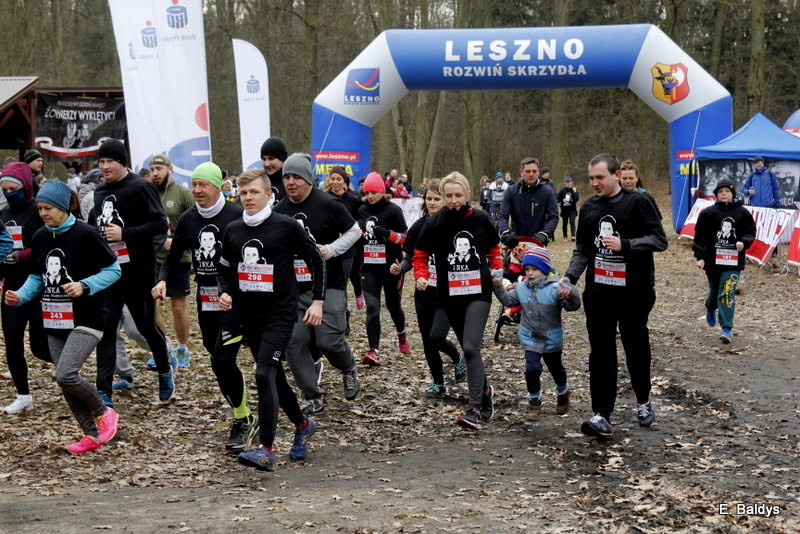 Biegli w lesie, wilczym tropem (dużo zdjęć)