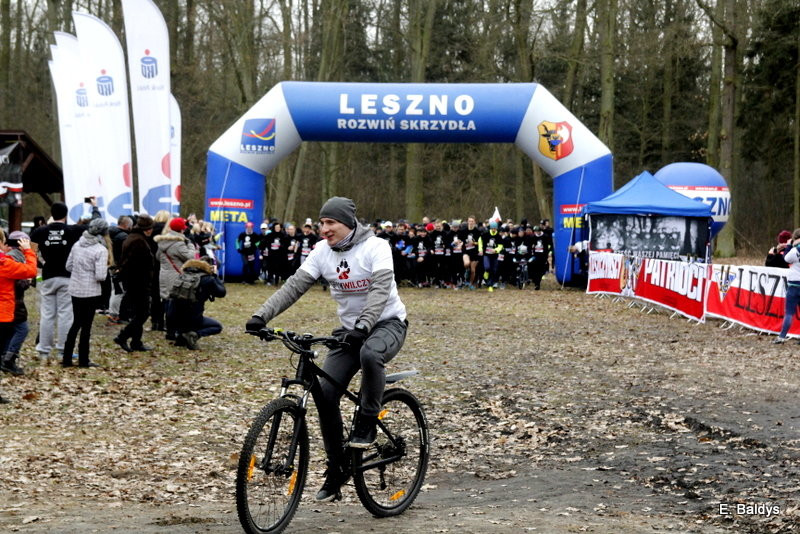 Biegli w lesie, wilczym tropem (dużo zdjęć)