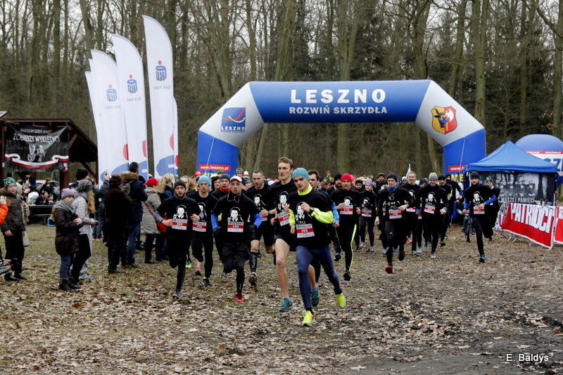 Biegli w lesie, wilczym tropem (dużo zdjęć)