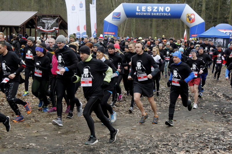 Biegli w lesie, wilczym tropem (dużo zdjęć)