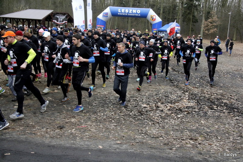 Biegli w lesie, wilczym tropem (dużo zdjęć)