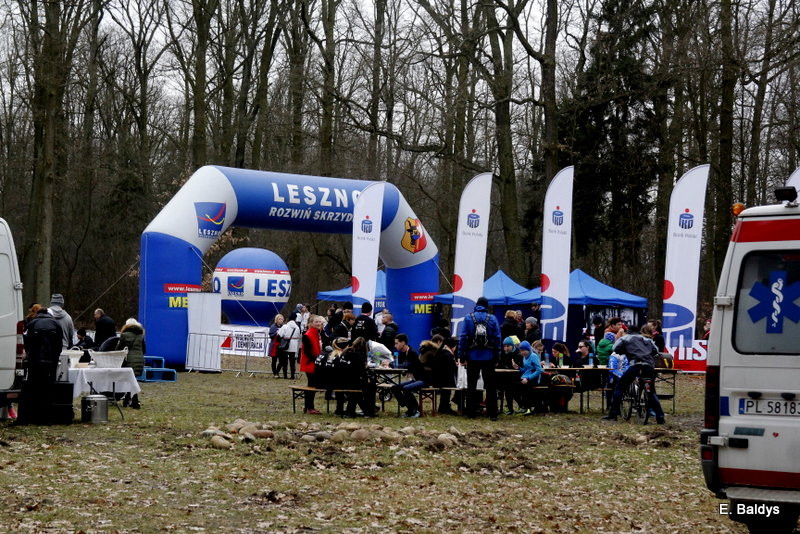 Biegli w lesie, wilczym tropem (dużo zdjęć)