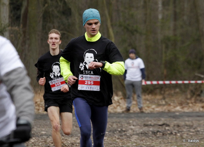 Biegli w lesie, wilczym tropem (dużo zdjęć)