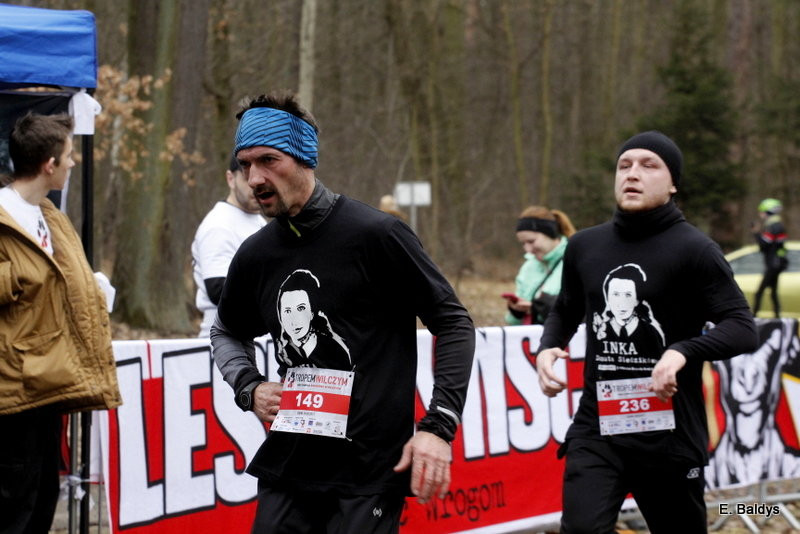 Biegli w lesie, wilczym tropem (dużo zdjęć)