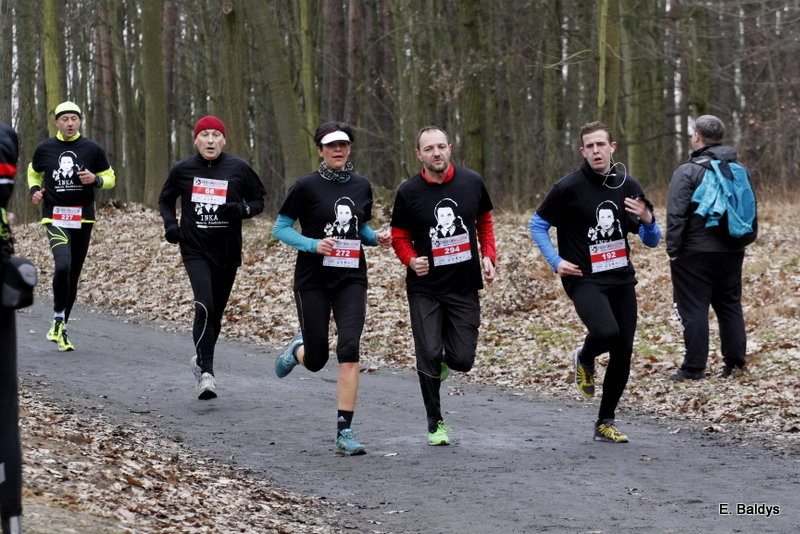 Biegli w lesie, wilczym tropem (dużo zdjęć)