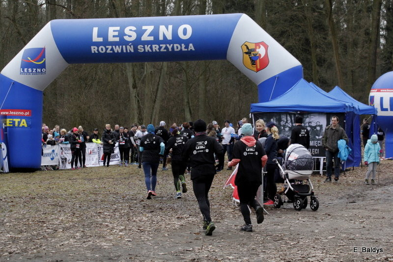 Biegli w lesie, wilczym tropem (dużo zdjęć)