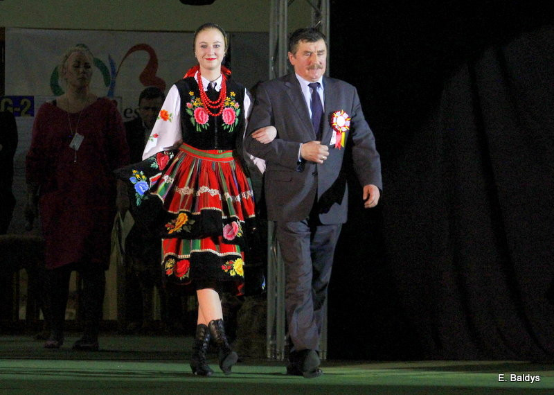 Owczarki górą! (zdjęcia)