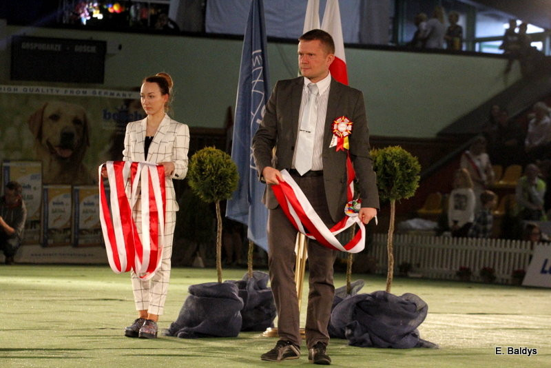 Owczarki górą! (zdjęcia)