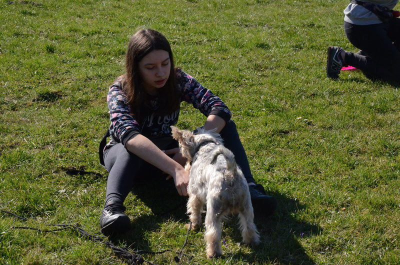 Ogródek dla psów i ich troskliwych właścicieli (zdjęcia)