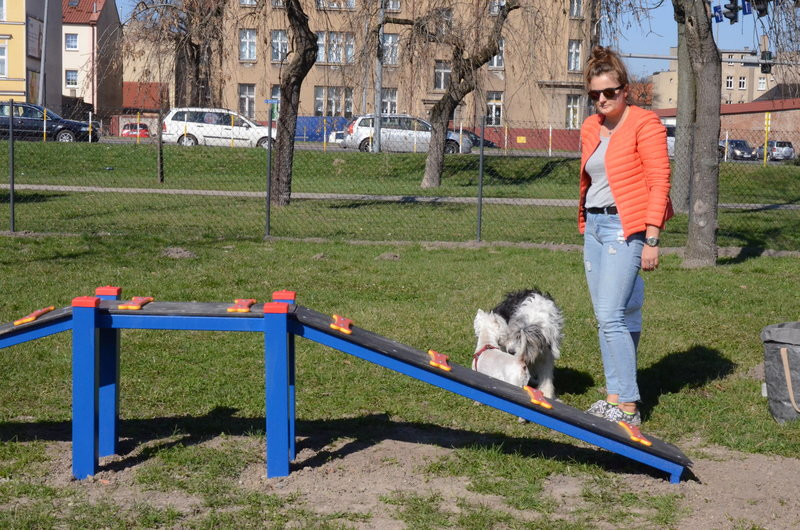 Ogródek dla psów i ich troskliwych właścicieli (zdjęcia)