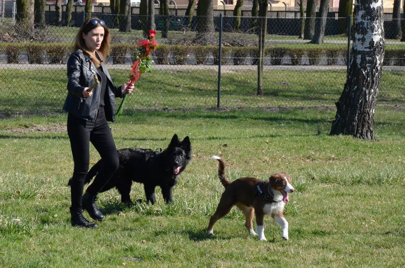 Ogródek dla psów i ich troskliwych właścicieli (zdjęcia)