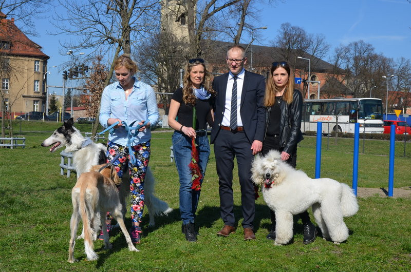 Ogródek dla psów i ich troskliwych właścicieli (zdjęcia)
