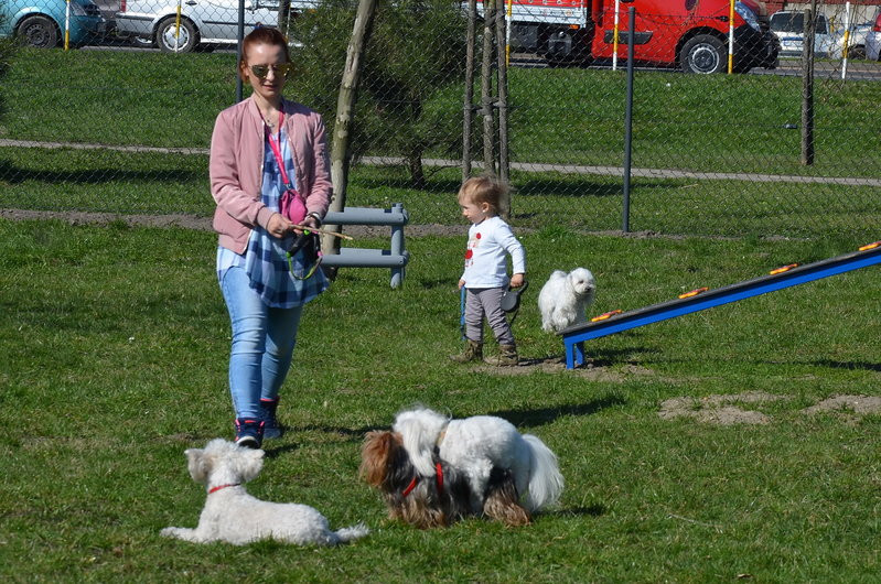 Ogródek dla psów i ich troskliwych właścicieli (zdjęcia)