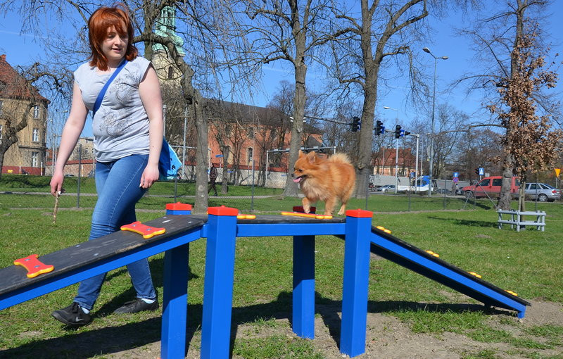 Ogródek dla psów i ich troskliwych właścicieli (zdjęcia)