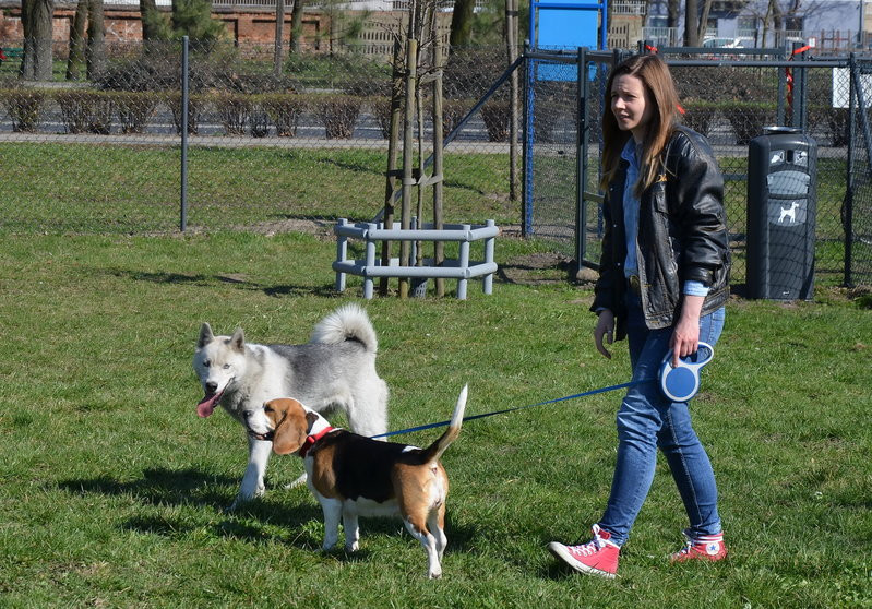 Ogródek dla psów i ich troskliwych właścicieli (zdjęcia)