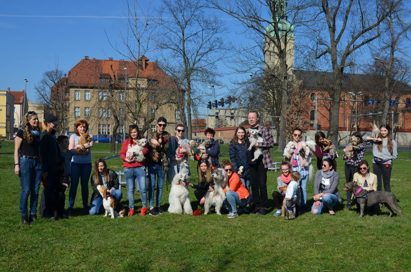 Ogródek dla psów i ich troskliwych właścicieli (zdjęcia)