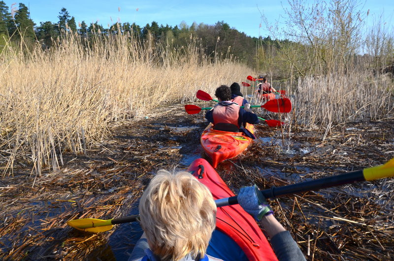 Sezon kajakowy otwarty (zdjęcia)