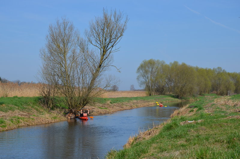 Sezon kajakowy otwarty (zdjęcia)