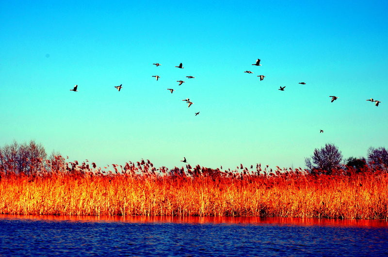 Sezon kajakowy otwarty (zdjęcia)