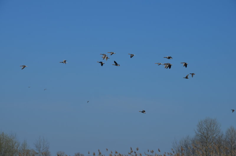 Sezon kajakowy otwarty (zdjęcia)