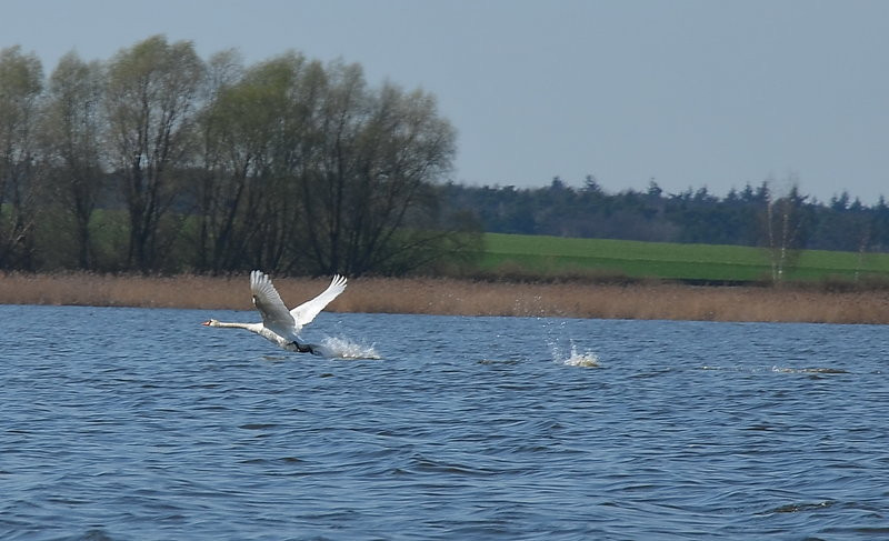 Sezon kajakowy otwarty (zdjęcia)