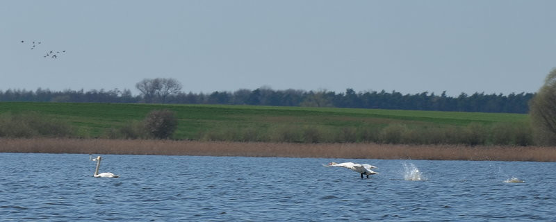 Sezon kajakowy otwarty (zdjęcia)