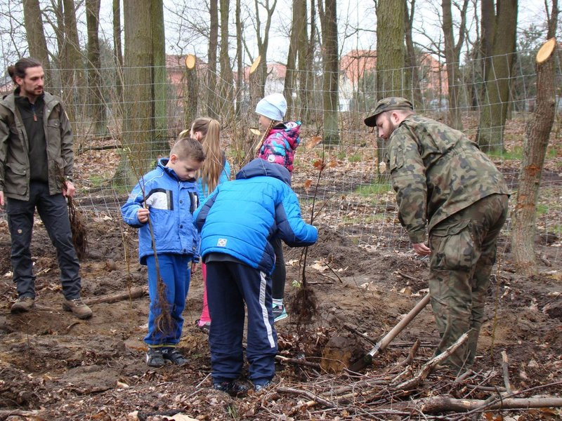 Wielkie sadzenie lasu (zdjęcia)