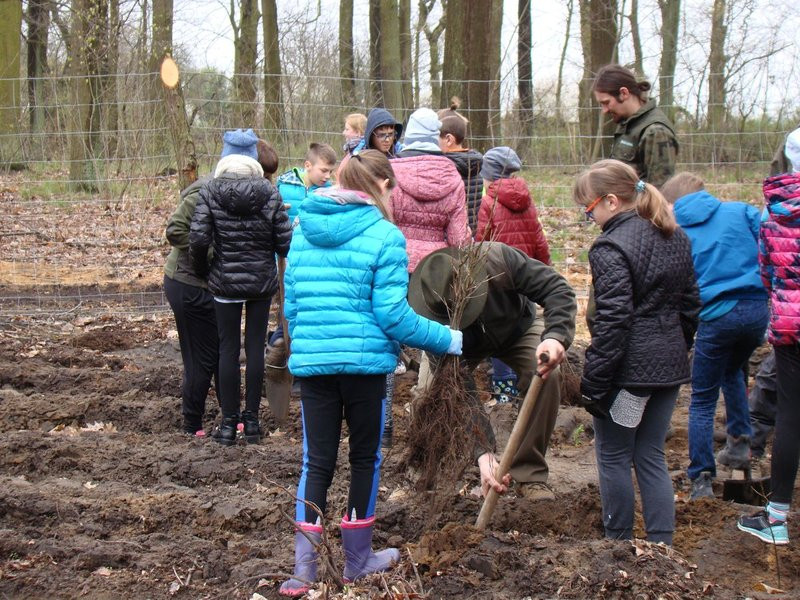 Wielkie sadzenie lasu (zdjęcia)