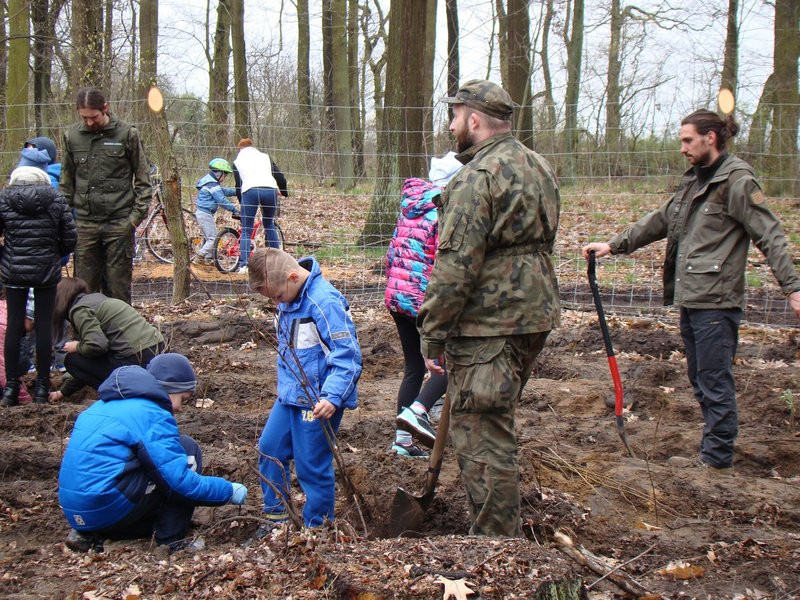 Wielkie sadzenie lasu (zdjęcia)
