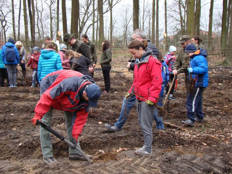 Wielkie sadzenie lasu (zdjęcia)