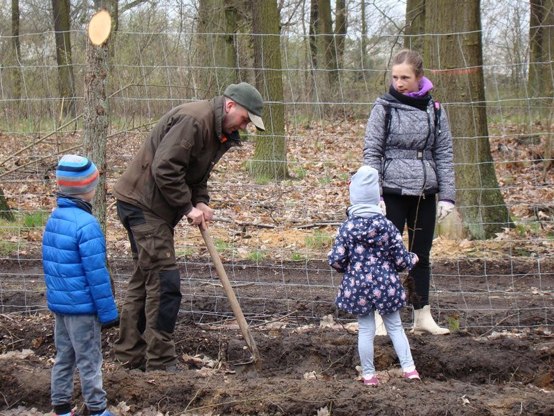 Wielkie sadzenie lasu (zdjęcia)