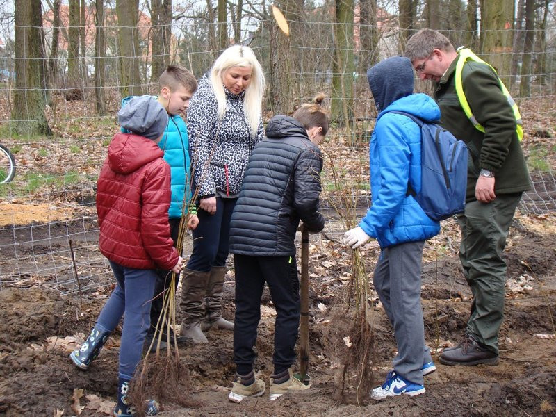 Wielkie sadzenie lasu (zdjęcia)
