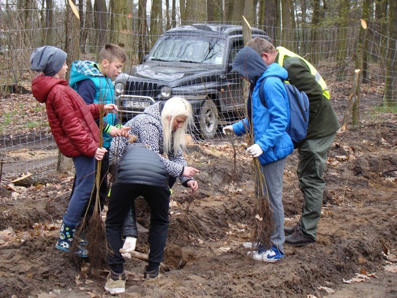 Wielkie sadzenie lasu (zdjęcia)