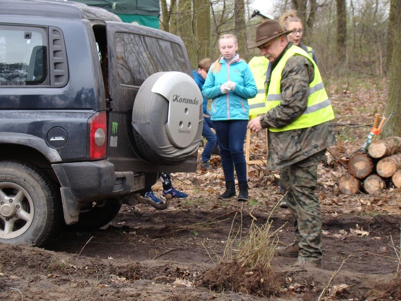 Wielkie sadzenie lasu (zdjęcia)