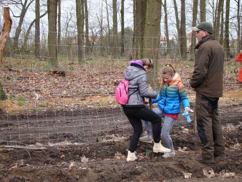 Wielkie sadzenie lasu (zdjęcia)
